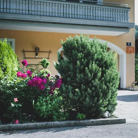 シャレー New! Carina By We Rent ツェル アム ゼー